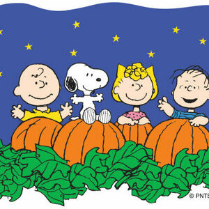 Team Page: K-4 Mrs. Greene's Pumpkin Patch